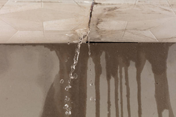 Professional Water Damage Inspection technician working in Willow Spring, NC